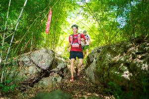 BIB: 
                            <button type="button" onclick="openModal(22088915)" class="btn btn-primary btn-sm float-right btn-popup" data-toggle="modal" data-target=".modal-high-quality">
                        <i class="fas fa-shopping-cart"></i> Add to Cart
                    </button>
                                            <button type="button" onclick="isThisMe(22088915, true)" class="btn btn-success btn-sm float-right btn-popup btn-isme hidden" data-toggle="tooltip" data-placement="bottom" title="นี่คือรูปของคุณใช่ไหม คลิกที่นี่เพื่อเอาเข้าอัลบั้ม">
                        <i class="fas fa-plus"></i> Add to album
                    </button>
                    <button type="button" onclick="isThisMe(22088915, false)" class="btn btn-warning btn-sm float-right btn-popup btn-isnotme hidden">
                        <i class="fas fa-ban"></i> Remove from album
                    </button>